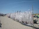 Cliquer pour agrandir